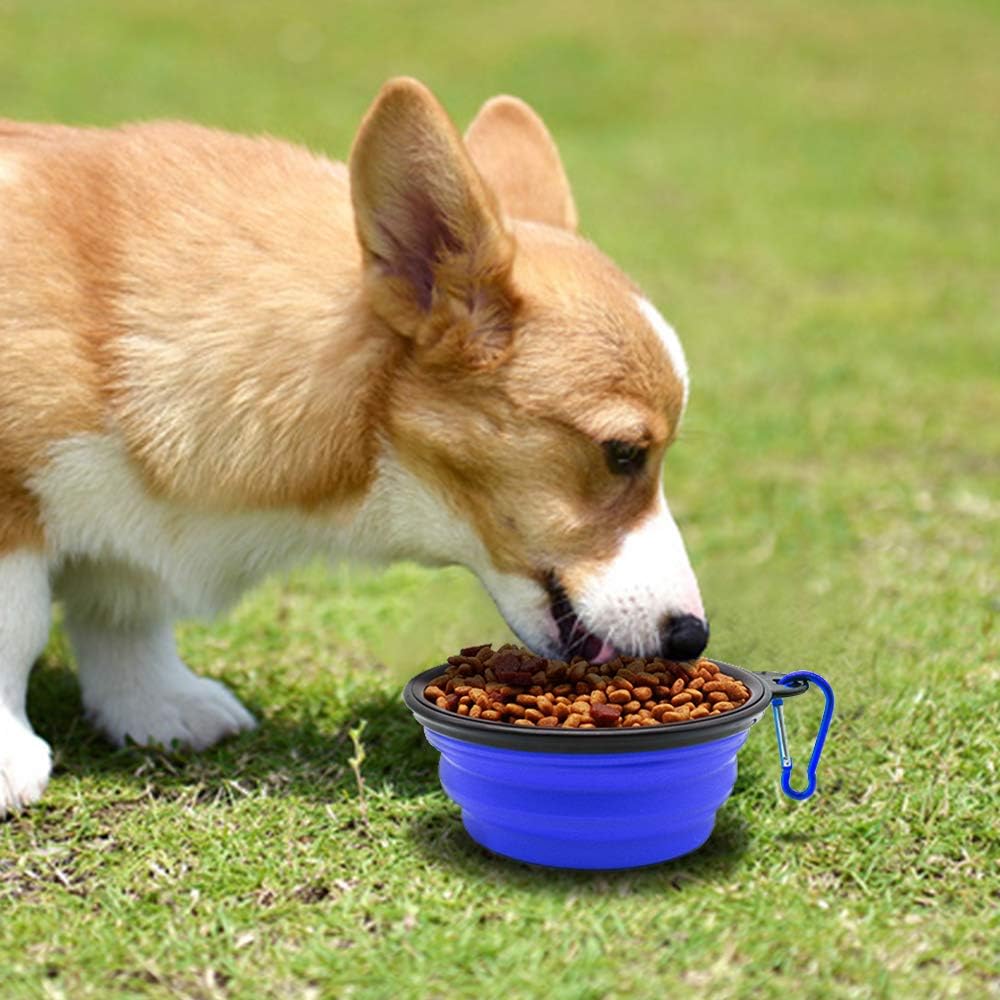 2-Pack Collapsible Pet Travel Bowls — product image 1 of 8