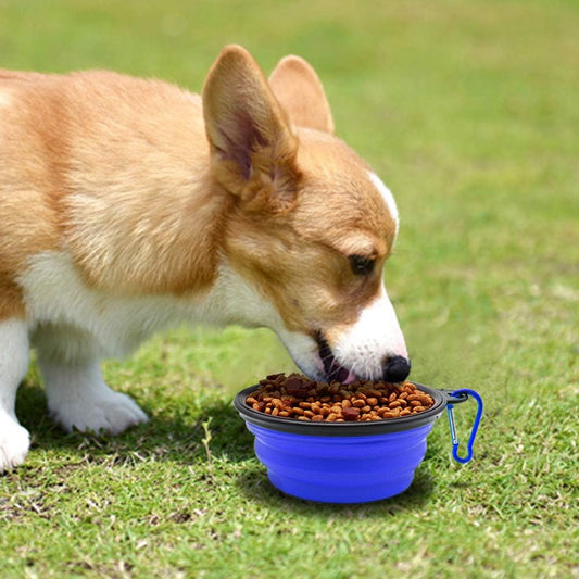2-Pack Collapsible Pet Travel Bowls — product image 1 of 8