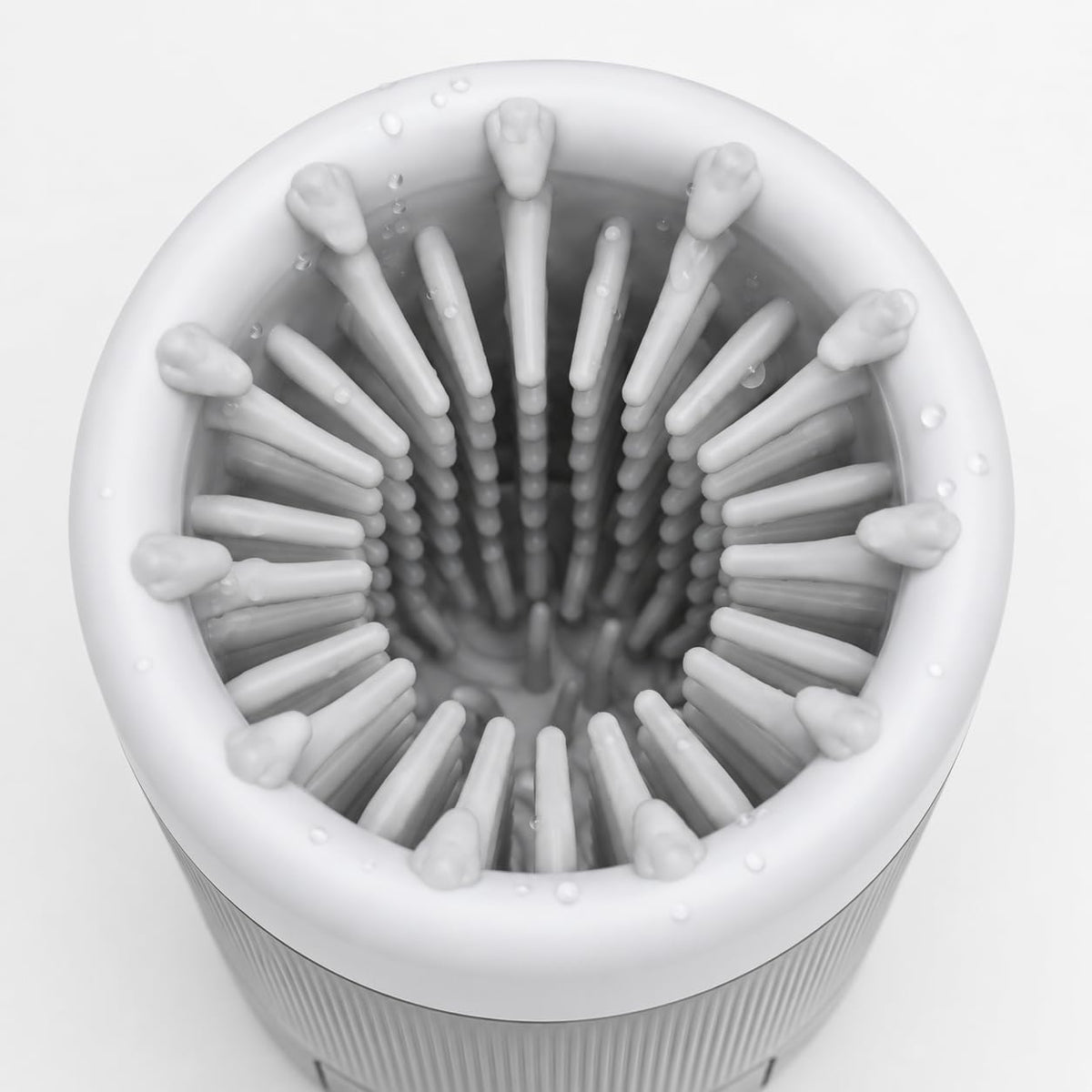 Silicone paw cleaner bristles