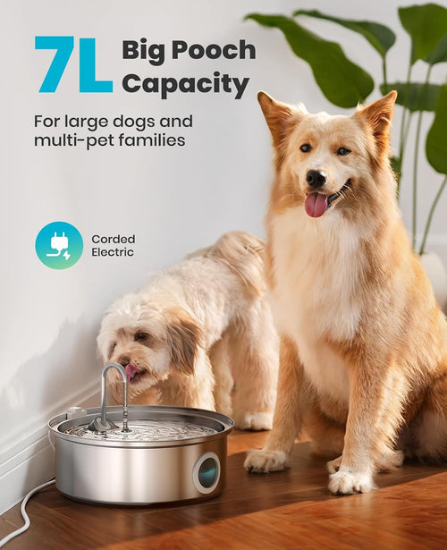 7L Dog Water Fountain for Multi-pet Household — product image 1 of 6