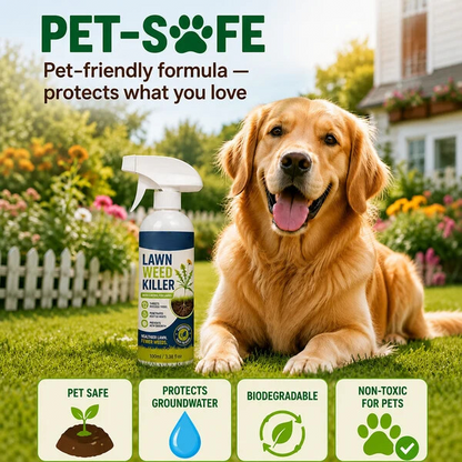 🔥 Buy 1 Get 1 Free 🌿 Powerful Garden Weed Control Solution